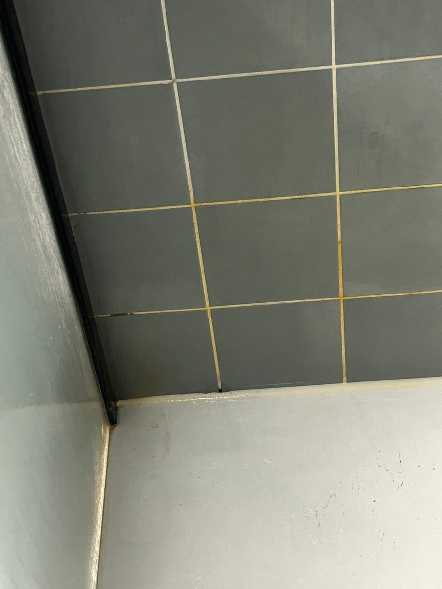 Angle de douche aux joints jaunis, carrelage vert de gris